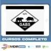 Opções Binárias - Gabs Teixeira