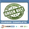 Green Belt Para Coachs - Fernanda Peris