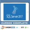 SQL Server 2017: Aprenda tudo sobre a linguagem SQL - Autor Desconhecido