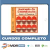A Anatomia da Comunicação - James J Thompson