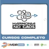 Organização Pessoal - Harmonia no Caos