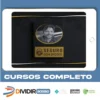 Seguro Com Opções (Curso Definitivo) - Vicente Guimarães