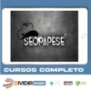 SEO Papese - Juliano Marcos Farias e Paulo Teixeira