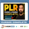 Aprenda Passo a Passo como Lucrar com Produtos PLR - Noemi Nakandakari