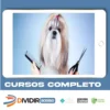 Banho e Tosa para Cães - Johnatan Skolimoski