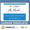 Curso de Caligrafia - Ivo Nissola