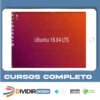 Linux Ubuntu 18.04 do Básico ao Avançado - Ednaldo Mendes de Araujo