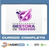 Profissão Gestora de Tráfego - Ana Neves