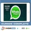 Como Vender Mais Usando o Whatsapp - Luiz Felipe Castro